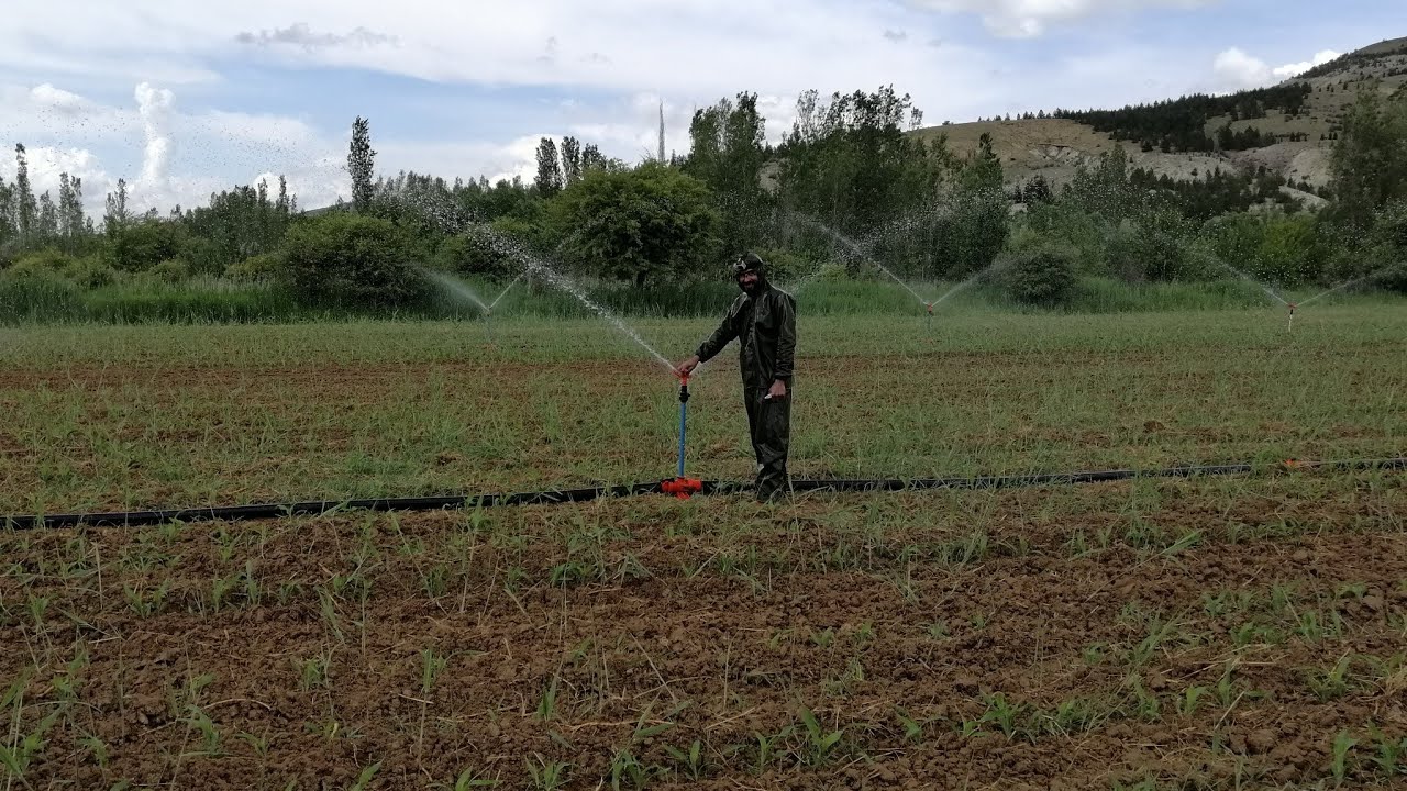 Mısırları yağmurlama suladık | Panplast mı? Piltar mı? Akkon mu? Karbir mi?