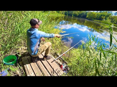 Знайшов в лс ЗАБРОШЕНУ КЛАДКУ! КАРАСЬ ДЕ ТАБУНОМ!!!