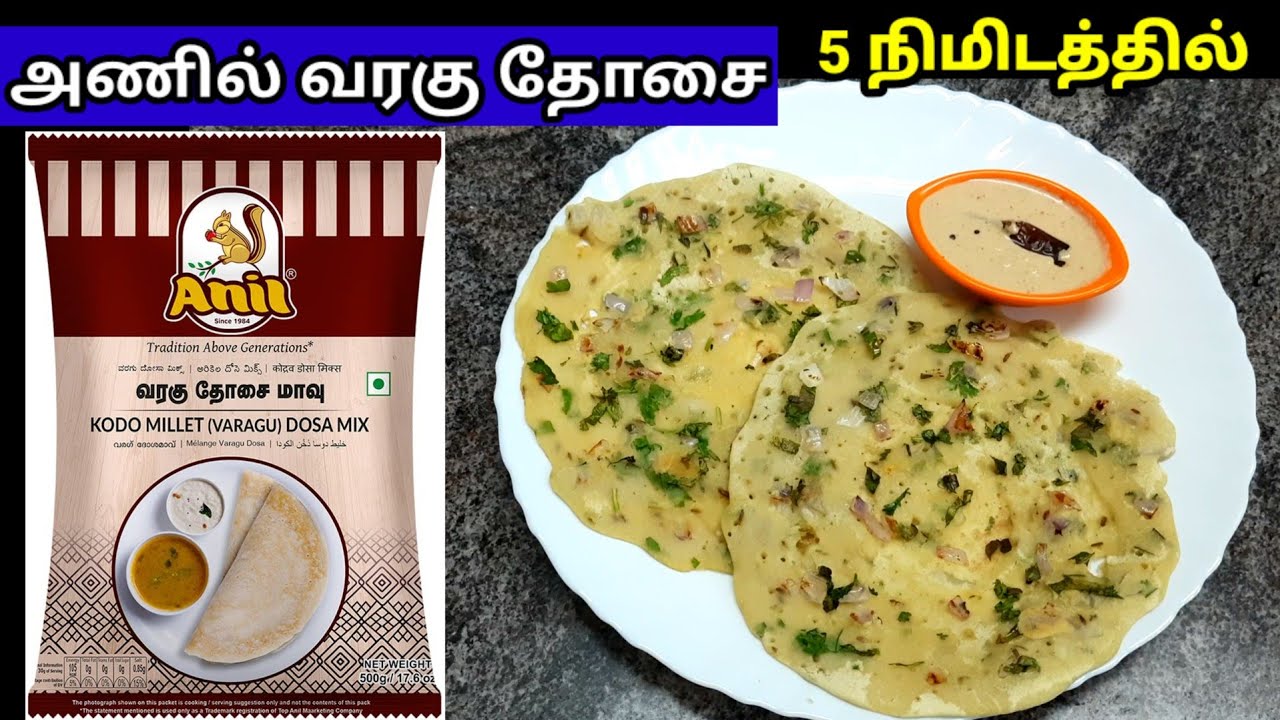 அணில் வரகு தோசை varagu dosa dosai recipe variety dosa breakfast
