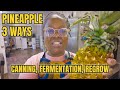 Pineapple 3 Ways | Canning Chutney, Fermenting Tepache, and Regrowing the Crown