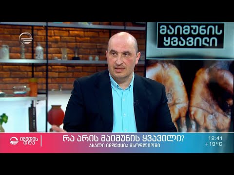 „მაიმუნის ყვავილი“ - ახალი, საშიში ვირუსული დაავადება, რომელიც ცხოველებიდან ვრცელდება