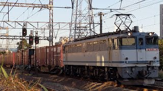 【EF65更新色牽引隅田川シャトル】JR貨物 EF65 2063号機+コキ20B 新A65仕業[77レ] 隅田川行 小田栄駅通過！