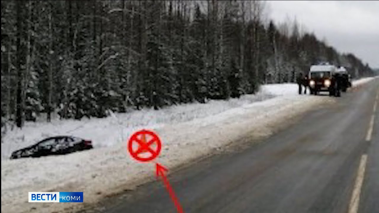 Инциденты 2021. Россия 1 Коми вести. Происшествия в Коми 29мая2022. Медведь на трассе Сыктывкар Ухта. Вести Коми 22.12.2022