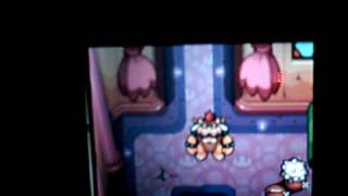 Mario & Luigi Bowsers Inside Story - Null Action Icon Glitch