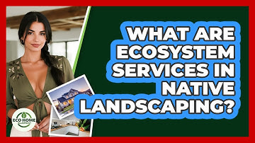 What Are Ecosystem Services In Native Landscaping? - Eco Home Blueprint