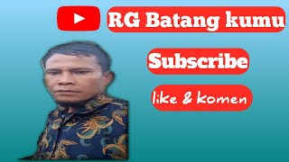 Kisah perjuangan bunga desa #batang kumu