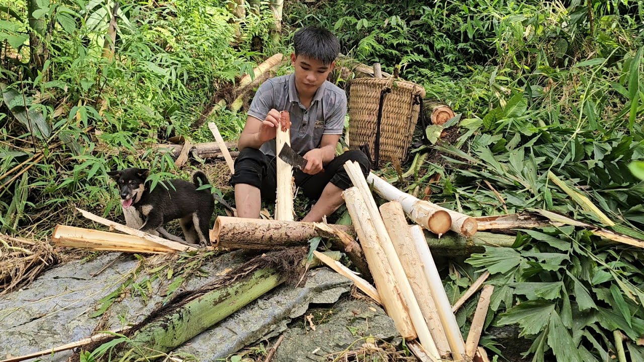 Homeless boy cuts strange roots alone to sell for food - Homeless boy