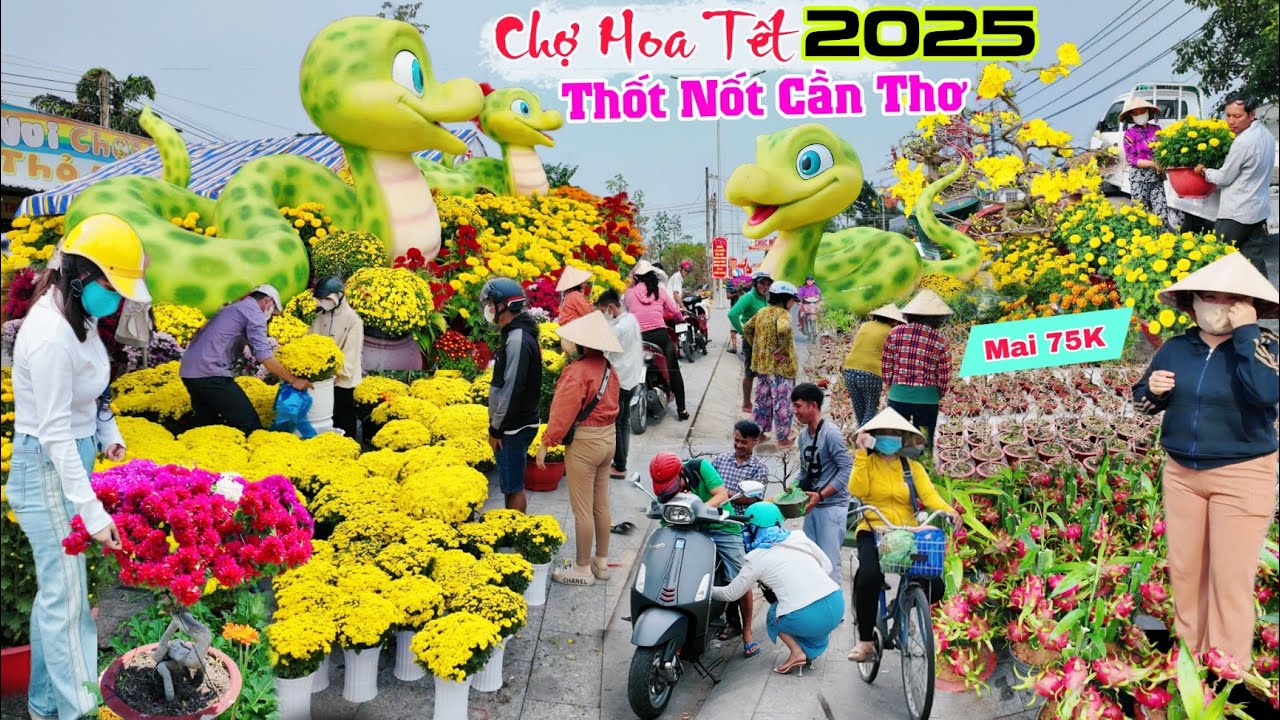 Chợ hoa tết thốt nốt cần thơ 2025 Tấp nập người mua hoa giá rẻ, Chậu mai 75K rẻ như cho
