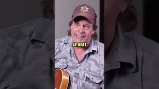 I don't play guitar licks..