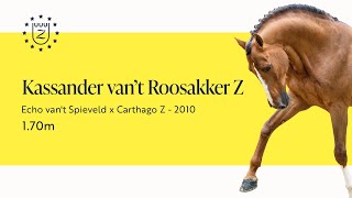 Kassander van't Roosakker Z - Présentation des étalons 2024