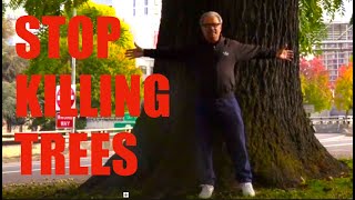 The Secret Weapon Against Climate Change: Trees