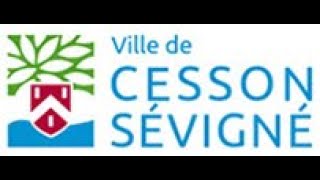 Work placement - Report in english