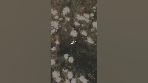 القران الكريم #اكسبلور #القرآن_الكريم #تيك_توك #اكسبلور_explore #اكسبلورر #قران_كريم #العظماء #هدف