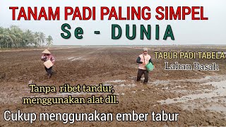 PLANTING TABLELA RICE || Different From The Others || This is the simplest,..!!