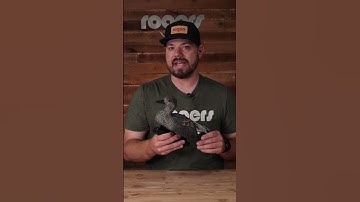 Final Approach Last Pass Floating Gadwalls #shorts #hunting #waterfowl #decoy #duckhunting