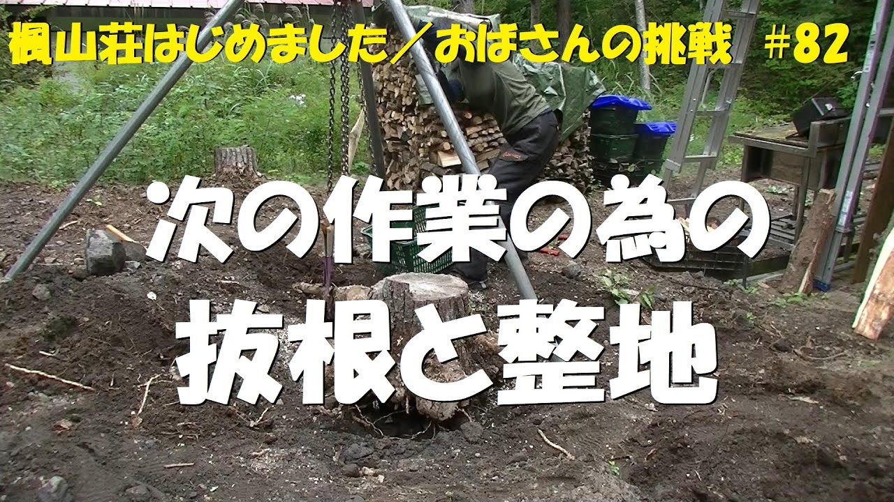 ＃８２　次の作業の為の抜根と整地／疲れすぎで微熱が出た