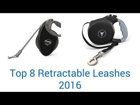 thunder leash retractable