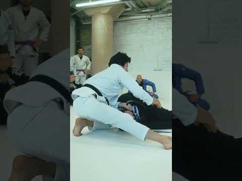 Stance Academy