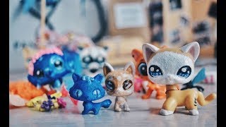 LPS: Распаковка посылки l СТОЯЧАЯ КОШКА l ООАК LPS: Распаковка посылки l СТОЯЧАЯ КОШКА l ООАК