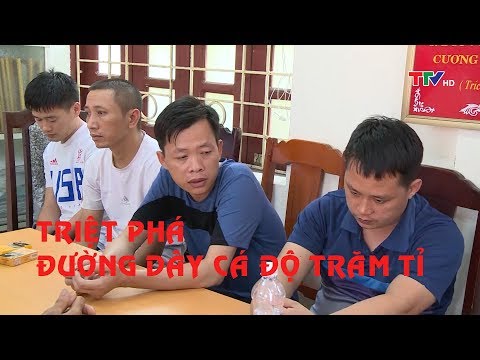 Video Nóng│Triệt xóa đường dây cá độ bóng đá, lô đề hàng... - youtube