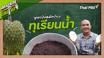 สูตรปุ๋ยหมักบำรุงทุเรียนน้ำ | สูตรลับฉบับบ้านนา | มหาอำนาจบ้านนา