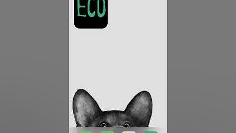 Iteration 3 Usability Test Video