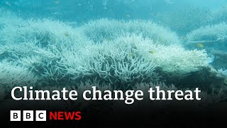 Climate change: 400-year record heat threat to Great Barrier Reef | BBC News Climate change: 400-year record heat threat to Great Barrier Reef | BBC News