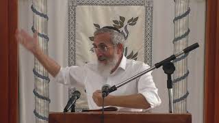'מזיק בכלאיים' | רה"י - הרב דוד פנדל | שיעור כללי