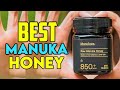 Top 7 Best Manuka Honey Brands In 2025 Best Manuka Honey Top 7 Best Manuka Honey Brands In 2025 Best Manuka Honey