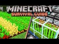 Fortune Farming & Auto Sugar Cane! ▫ Minecraft Survival Guide (1.18 Tutorial Let's Play) [S2 Ep.22]