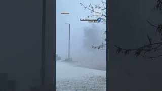 Minnesota holiday blizzard! #shorts