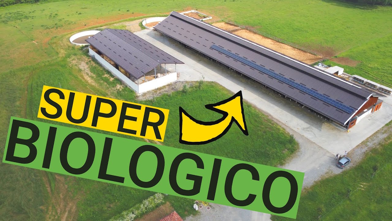 il PARMIGIANO super BIOLOGICO di CiaoLatte - BioSuisse