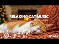 SUPER RELAXING MUSIC FOR CATS – COZY HOME SETTING | TOTAL CALMNESS 😺🏠