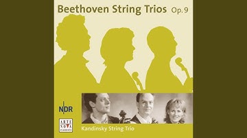Trio in D major, Op. 9/2: Allegretto