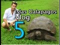 Islas Galápagos Vlog 5 | Santa Cruz | Tortugas Gigantes