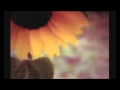 【歌ってみた】Liar / ライア【lyka】