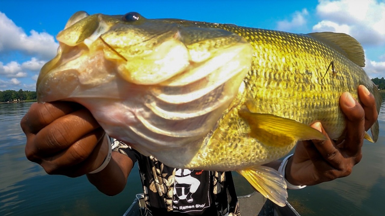 I CAUGHT MY BIGGEST BASS EVER…