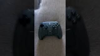 Steam Controller Easter egg: it Wilhelm screams! 🤣