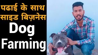 Dog Farming in india Side business with study | कुत्ता पालन की जानकारी
