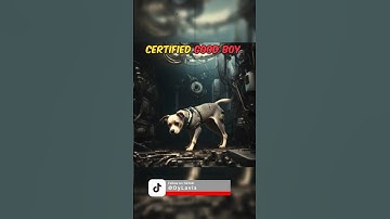 A True Good Boy, SCP 1991 explained #scp #scpart #horrorstories #dog #shorts