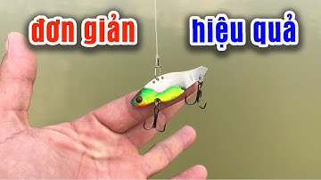 Câu Lure Cá Lóc ● Thử Cạo Sơn Cá Sắt Orochi Và Cái Kết / fishing with fake bait | Tâm Râu Vlog #127