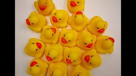 Rubber Ducky Creation