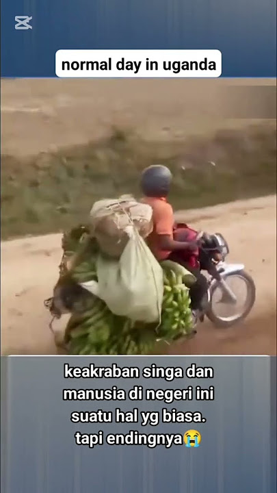 MANUSIA DI MAKAN SINGA.             #viral#manusiabernasibtragis#kematianmengerikan