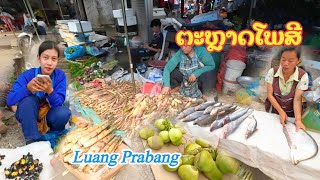 ອາຫານທຳມະຊາດ ຕະຫຼາດໂພສີ, ຫຼວງພະບາງ ♡ ของป่าลาว ตลาดโพสี, หลวงพระบาง // Phosee market, Luang Prabang
