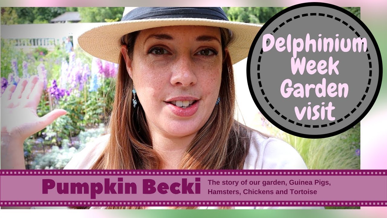 Delphinium Week at Godinton House & Gardens, Kent