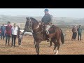 فرسان مرسط خالد بوعلاق من فرسان الكويف
