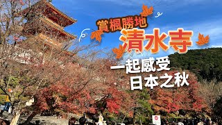 【50+生活日記】賞楓勝地清水寺，一起感受日本之秋