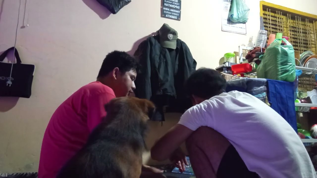 Sambil makan sambil masak sambil nonton bioskop 