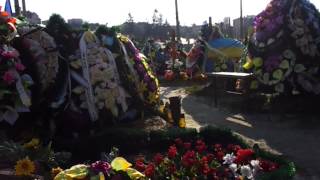 Plastic Flowers New Nature For The Fallen Ukraine