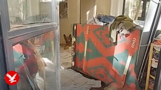 Gene Hackman police video shows dog’s heartbreaking reaction to owner’s death